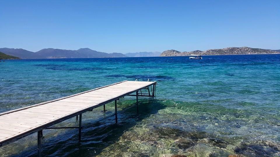 Mavi Akvaryum Pension Hotel Sogut  Exterior photo