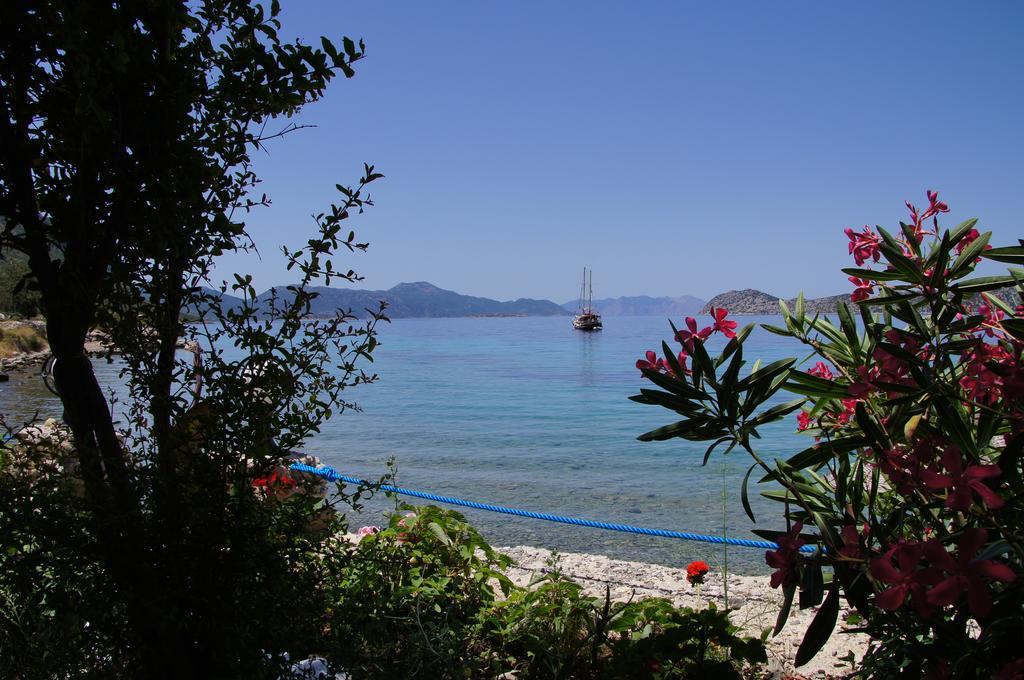 Mavi Akvaryum Pension Hotel Sogut  Exterior photo