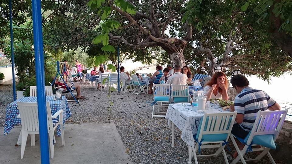 Mavi Akvaryum Pension Hotel Sogut  Exterior photo