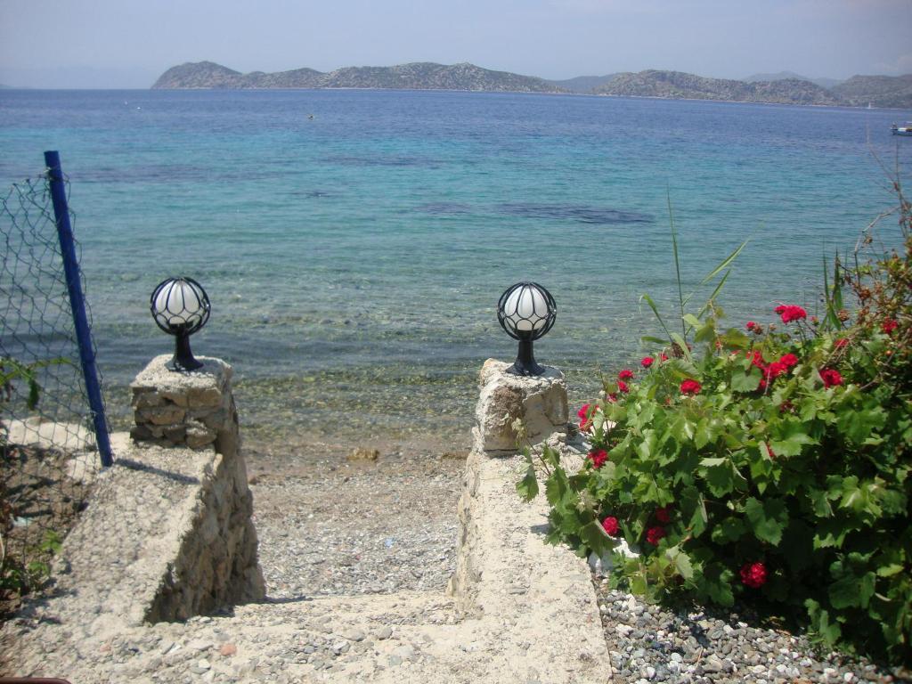Mavi Akvaryum Pension Hotel Sogut  Exterior photo