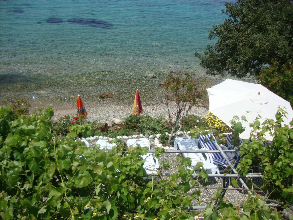 Mavi Akvaryum Pension Hotel Sogut  Exterior photo